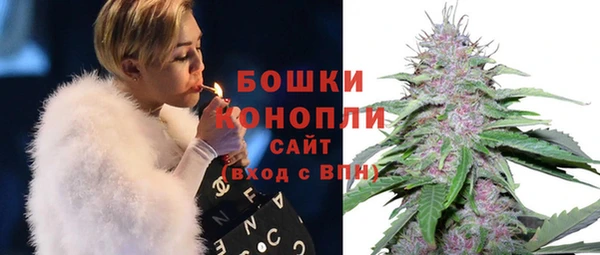 PSILOCYBIN Арсеньев