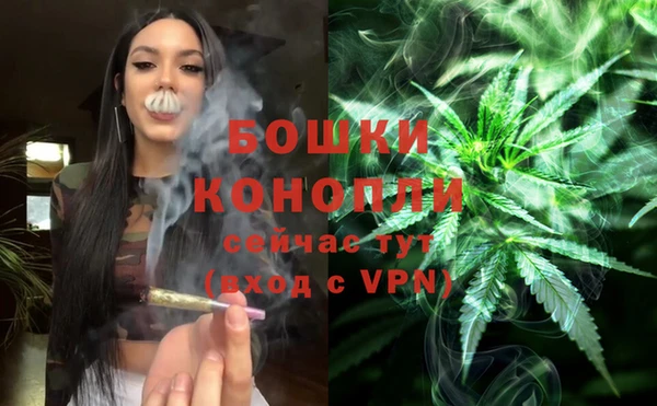 PSILOCYBIN Арсеньев