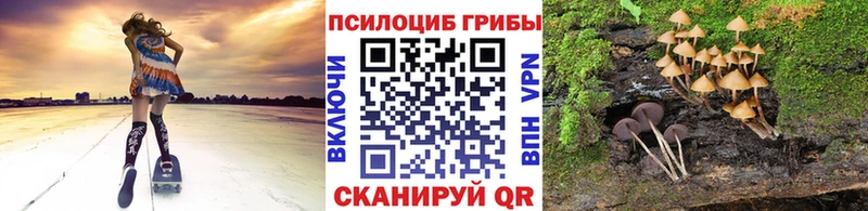 закладки  Асбест  ОМГ ОМГ онион  Псилоцибиновые грибы Cubensis 